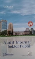 Audit Internal Sektor Publik